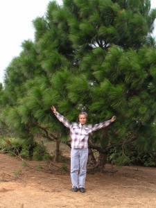 SB-Xieng Khuang-2008